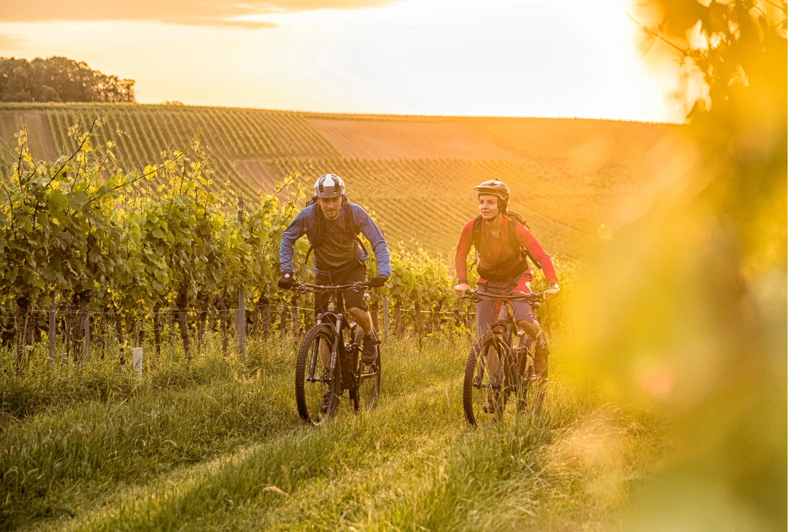 Mountainbiken an der Deutschen Weinstraße