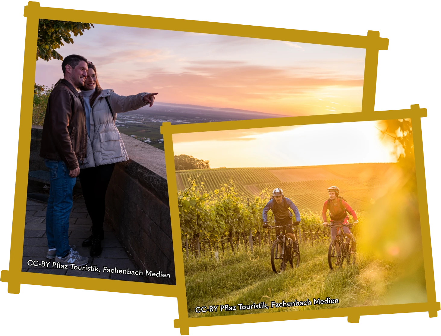 Zwei Personen stehen an einer Mauer und blicken auf eine Landschaft bei Sonnenuntergang sowie zwei Radfahrer auf einem Weg durch Weinberge bei Sonnenlicht